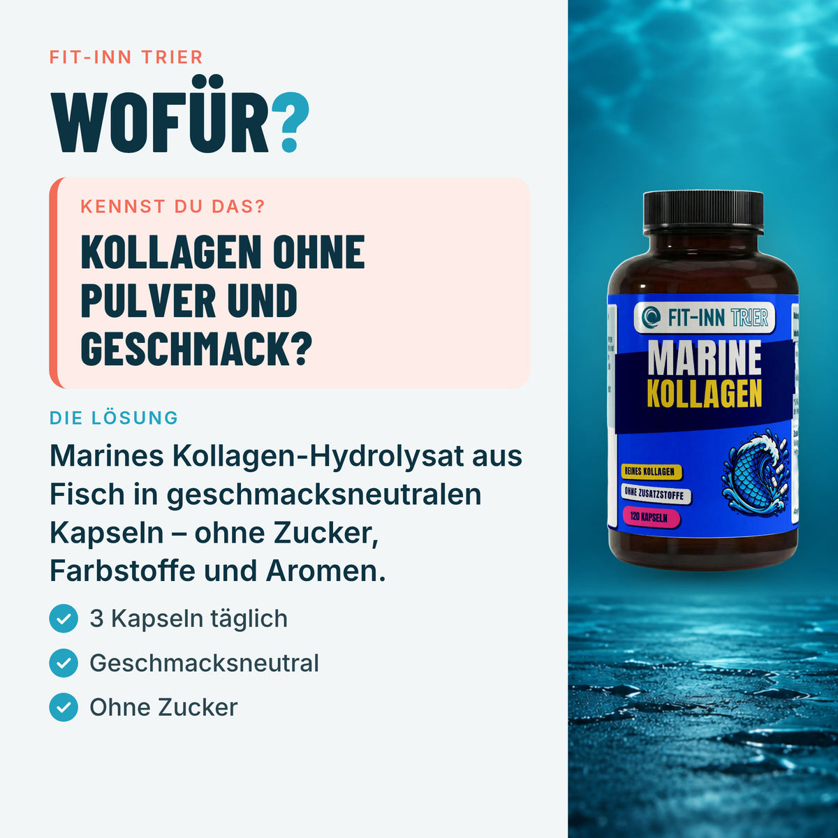 Marine Kollagen Peptide (2000-5000 DA) - 120 Kapseln – Wofür?